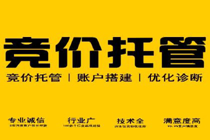 成功案例：专业SEM托管助力企业实现业绩倍增